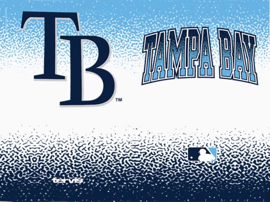 MLB™ Tampa Bay Rays™s - Defend