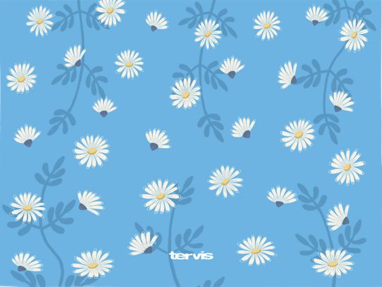 Skyfall Daisies