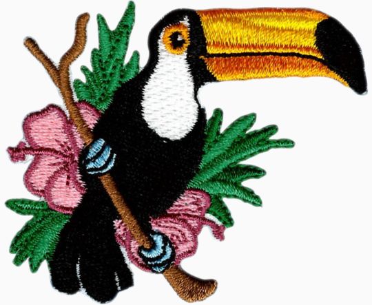 Birds of the Tropics - Toucan Time