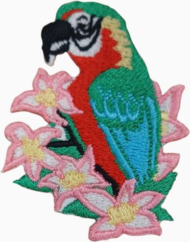 Birds of the Tropics - Tropical Macaw