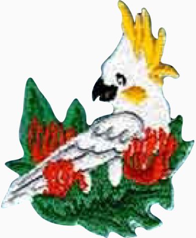 Birds of the Tropics - Tropical Cockatoo