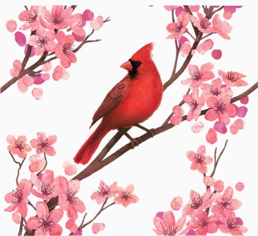 Sakura Cardinal