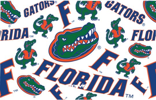 Florida Gators - All Over