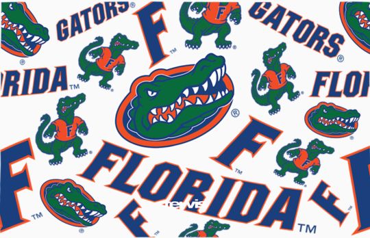 Florida Gators - All Over