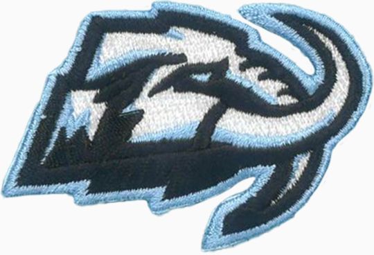 NHL® Chicago Blackhawks® - Embroidered Emblem