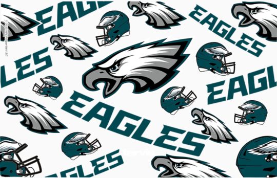 NFL&reg; Philadelphia Eagles - All Over