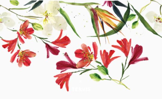 Kelly Ventura - Red Natal Lily Bloom