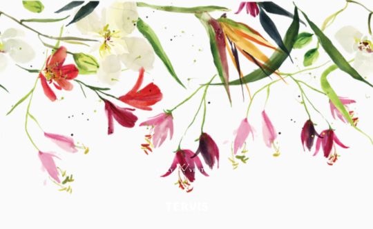 Kelly Ventura - Pink Natal Lily Bloom