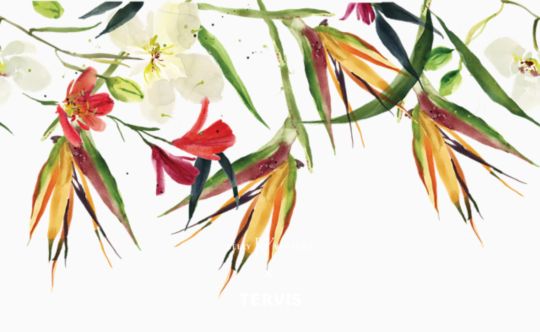 Kelly Ventura - Birds of Paradise