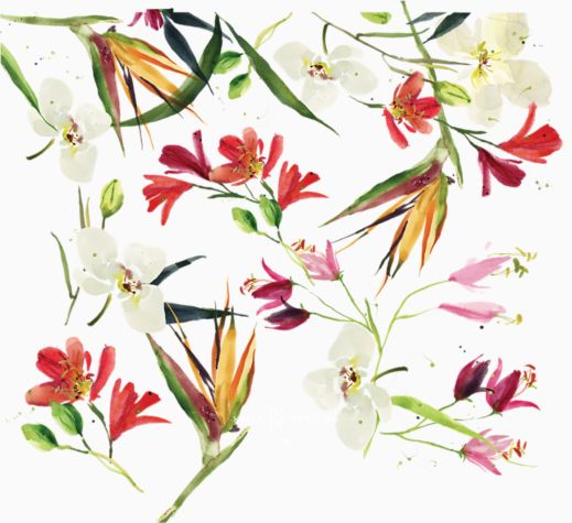 Kelly Ventura - Paradise Blooms