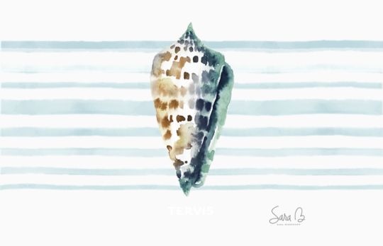 Sara Berrenson - Ocean Keepsakes Tide Cone