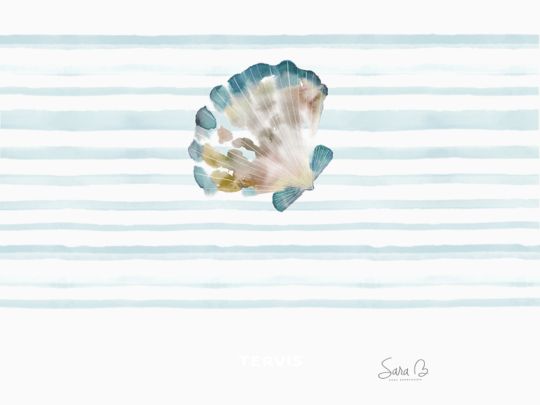 Sara Berrenson - Ocean Keepsakes Sand Scallop