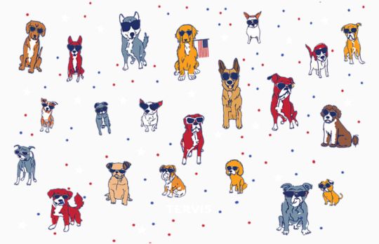 Patriot's Best Friend