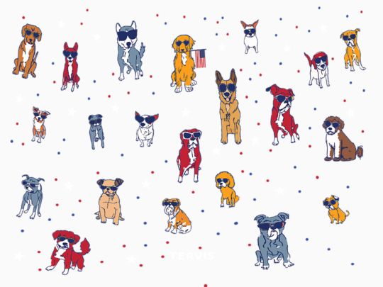 Patriot's Best Friend