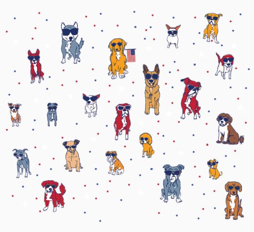 Patriot's Best Friend