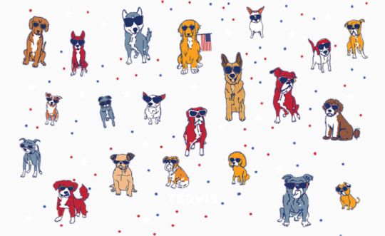 Patriot's Best Friend