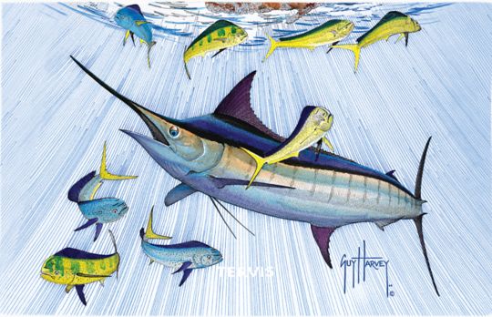 Guy Harvey - Marlin and Mahi