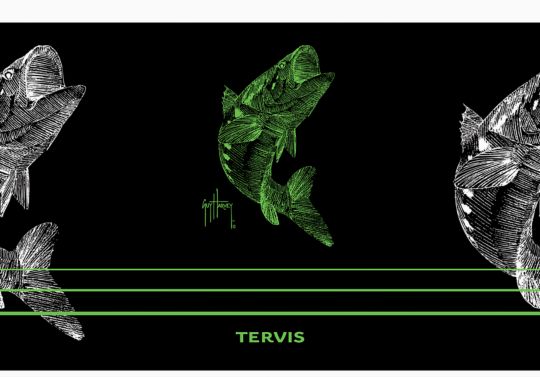 Guy Harvey - Neon Bass