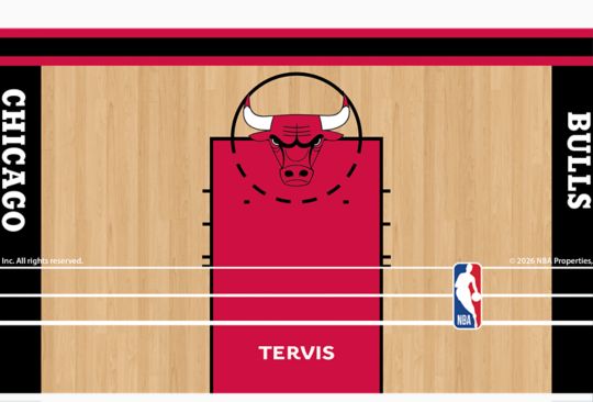 NBA&reg; Chicago Bulls - In The Paint