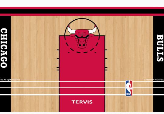 NBA&reg; Chicago Bulls - In The Paint