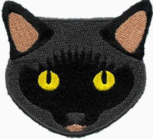 My Black Cat