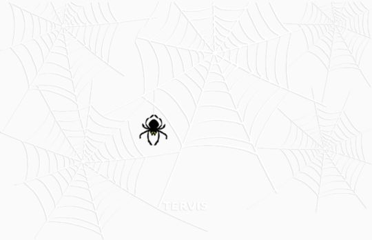 Shimmering Web