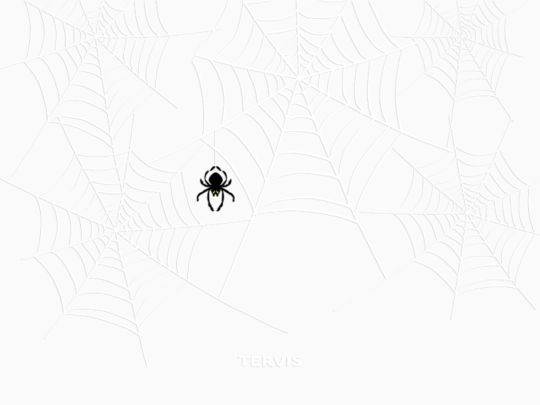 Shimmering Web