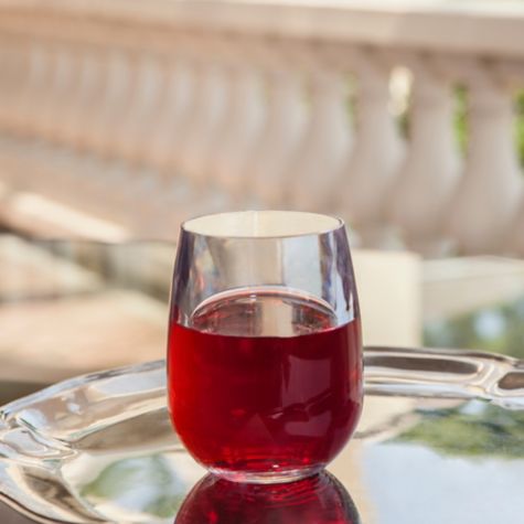 Tervis Symglass - Stemless Wine Glass