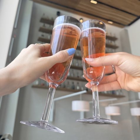Tervis Symglass - Champagne Flute
