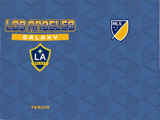 MLS Los Angeles Galaxy - Pitch