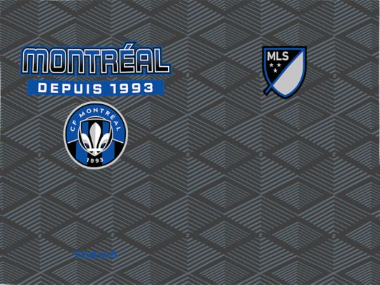 MLS CF Montreal - Pitch
