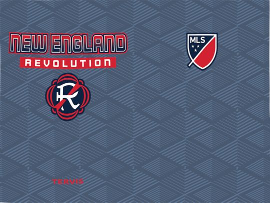 MLS New England Revolution - Pitch