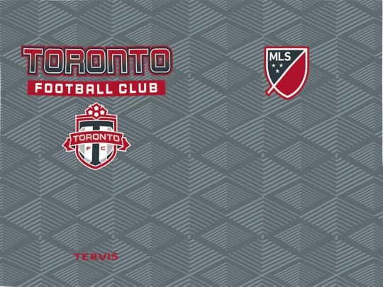 MLS Toronto FC - Pitch