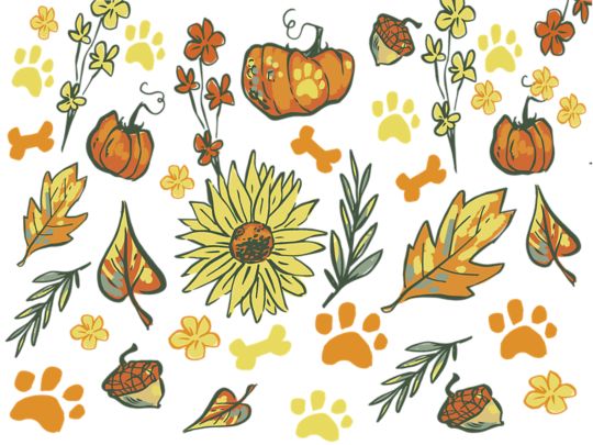 Pumpkin Paw Patch