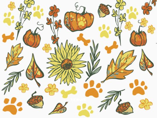 Pumpkin Paw Patch