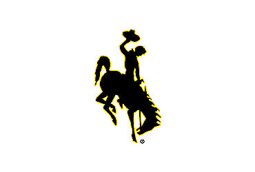 Wyoming Cowboys®