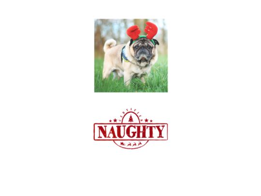 Christmas - On the Naughty List