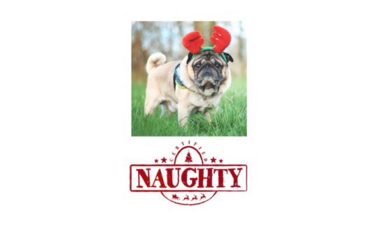 Christmas - On the Naughty List