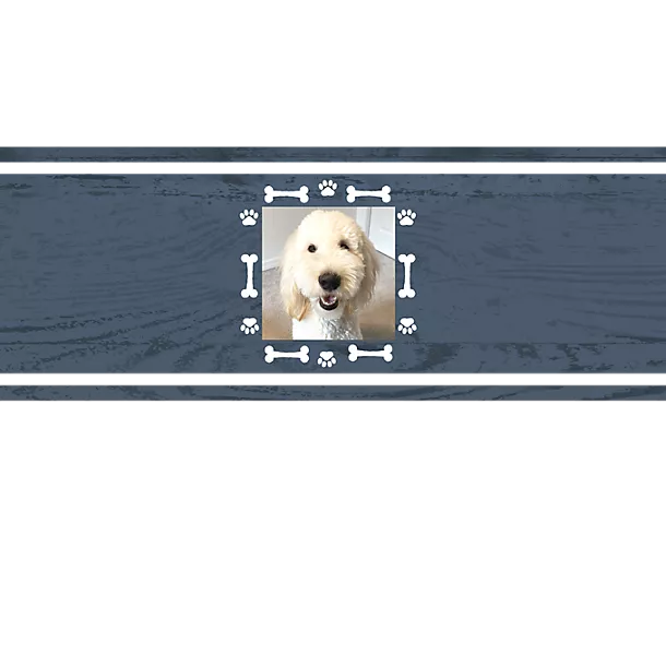 Dog Bones Frame on Navy Driftwood - 1 Photo