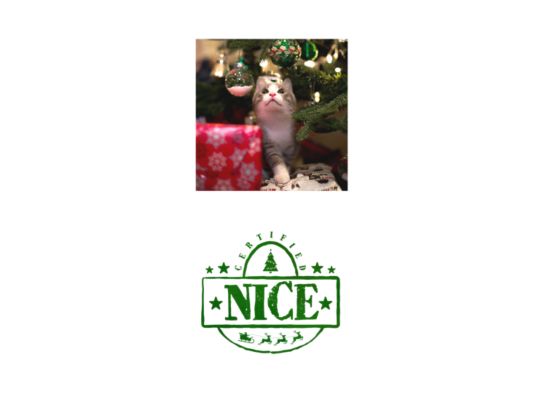 Christmas - On the Nice List