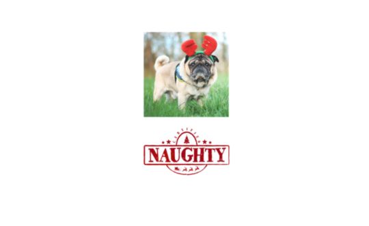 Christmas - On the Naughty List